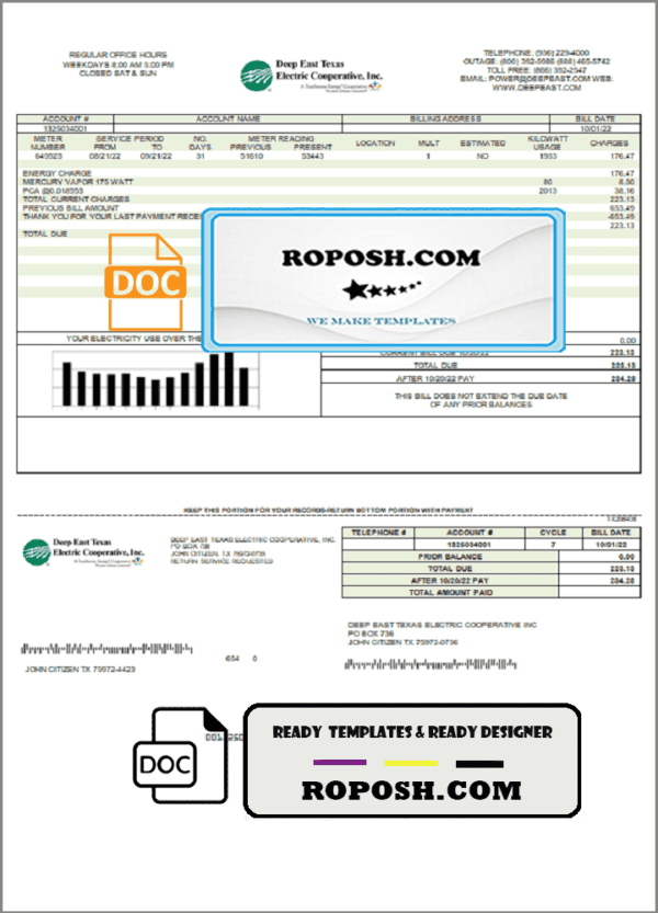 USA Deep East Texas Electric utility bill template in Word and PDF format