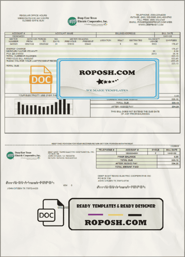 USA Deep East Texas Electric utility bill template in Word and PDF format