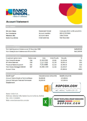 Bolivia Banco Union bank statement easy to fill template in Excel and PDF format (AutoSum)