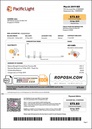 Singapore Pacific Light electricity utility bill template in Word and PDF format