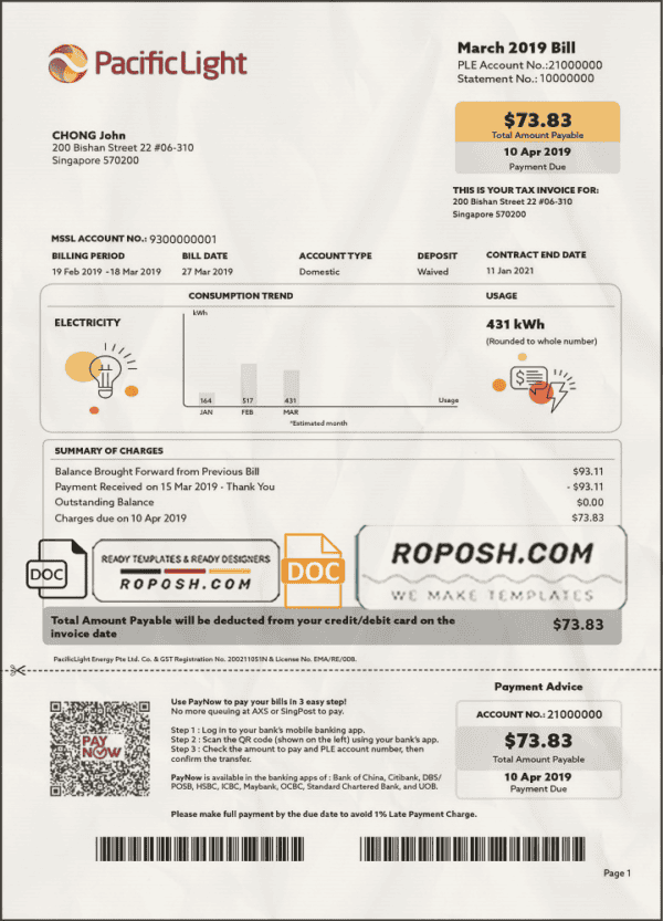 Singapore Pacific Light electricity utility bill template in Word and PDF format