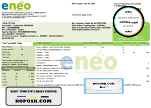 Cameroon ENEO electricity utility bill template in Word and PDF format (current version)