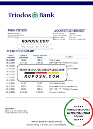 Netherlands Triodos Bank statement easy to fill template in Word and PDF format