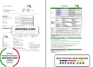 Malaysia Packet 1 Network bank statement template in Word and PDF format (3 pages)