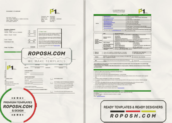 Malaysia Packet 1 Network bank statement template in Excel and PDF format (3 pages)