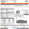 Philippines Meralco electricity utility bill template in Word and PDF format