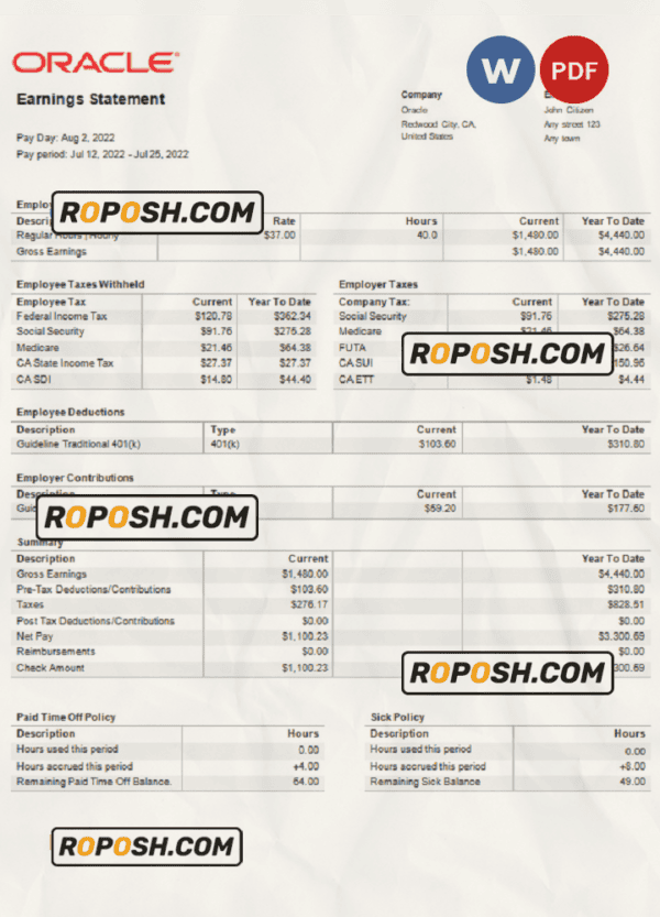 USA Oracle software company pay stub Word and PDF template