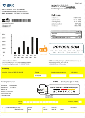 Norway BKK electricity utility bill template in Word and PDF format, good for address prove