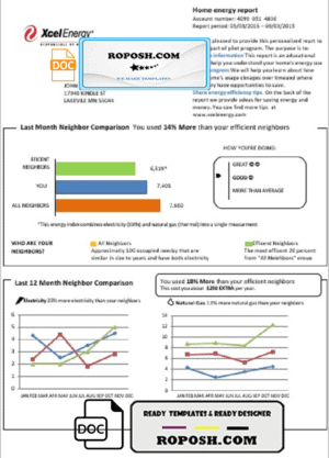 USA Minnesota Xcel Energy utility bill template in Word and PDF format (.doc and .pdf)