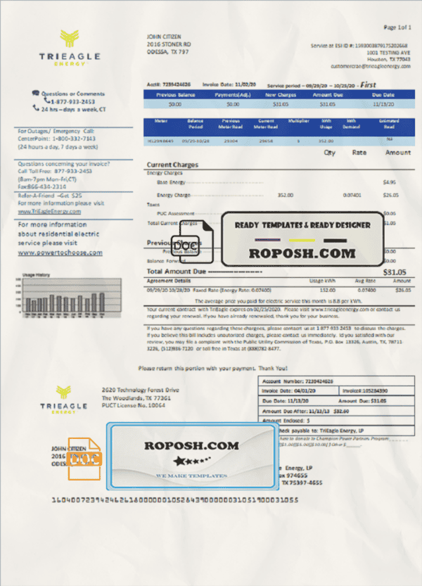 USA Texas TriEagle utility bill template in Word and PDF (.doc and .pdf) format