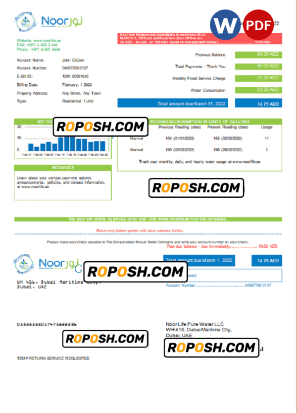 UAE Noor Life Pure Water LLC utility bill template in Word and PDF format