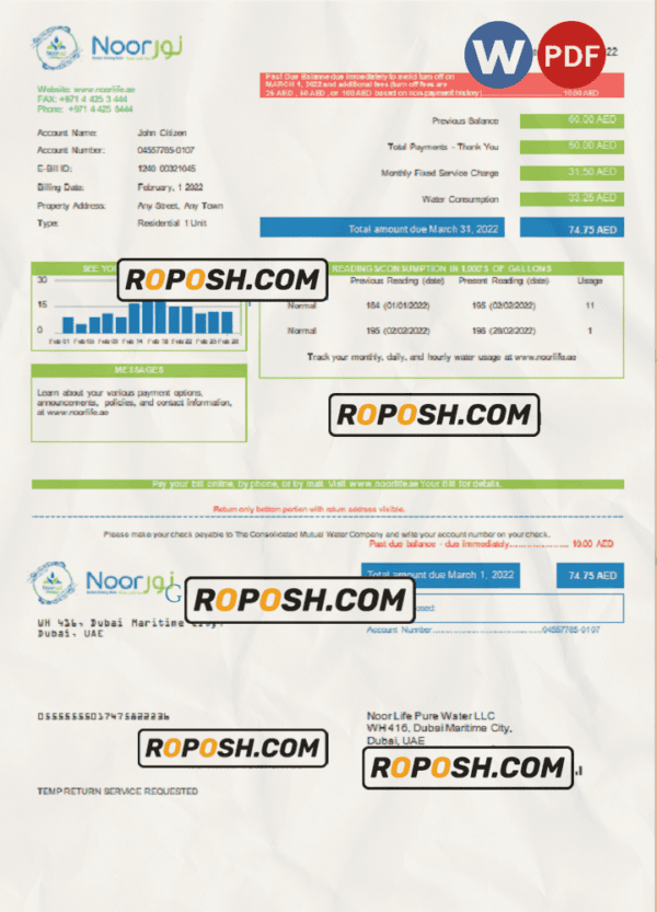UAE Noor Life Pure Water LLC utility bill template in Word and PDF format