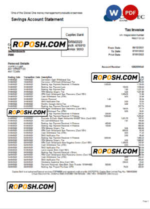 USA Capitec bank statement Word and PDF template