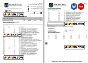 USA Woodforest bank statement Word and PDF template, 3 pages