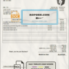 USA Stanford Plumbing & Heating company invoice template in Word and PDF format, fully editable