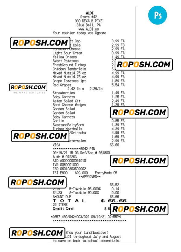 ALDI STORE receipt template PSD template