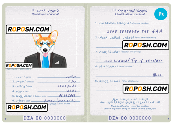Algeria dog (animal, pet) passport PSD template, completely editable