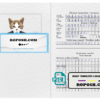 Azerbaijan cat (animal, pet) passport template in PSD, fully editable