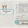 Azerbaijan cat (animal, pet) passport template in PSD, fully editable