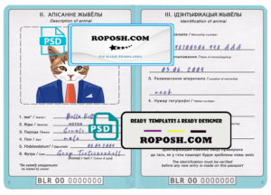 Belarus cat (animal, pet) passport PSD template, fully editable