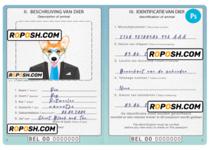 Belgium dog (animal, pet) passport PSD template, fully editable