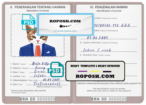 Brunei cat (animal, pet) passport PSD template, completely editable