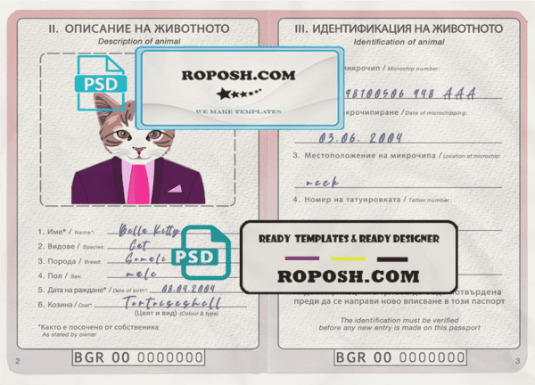Bulgaria cat (animal, pet) passport PSD template, fully editable
