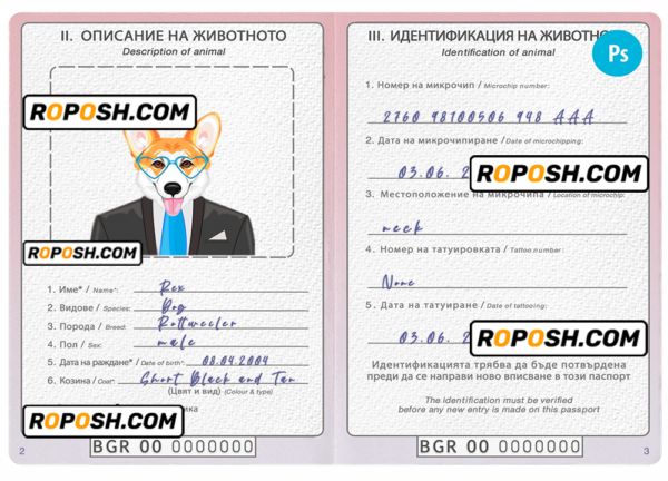 Bulgaria dog (animal, pet) passport PSD template, fully editable
