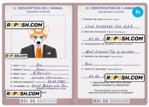 Burundi dog (animal, pet) passport PSD template, completely editable