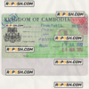 CAMBODIA entry visa PSD template, fully editable
