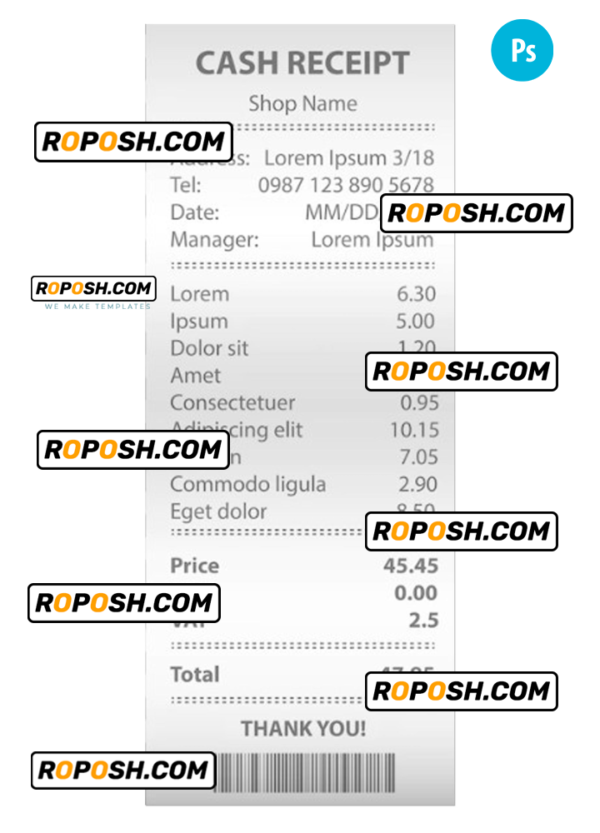 CASH receipt sample PSD template