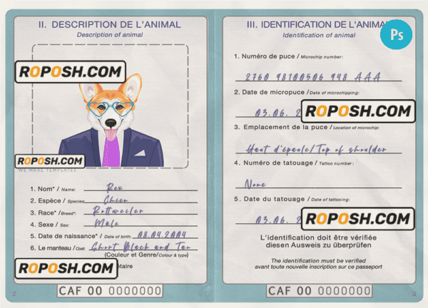 Central African Republic dog (animal, pet) passport PSD template, fully editable