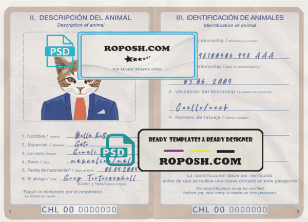 China cat (animal, pet) passport PSD template, completely editable