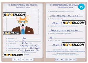 Chile dog (animal, pet) passport PSD template, completely editable