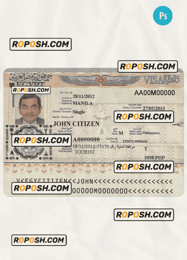 Egypt tourist visa PSD template, completely editable, with fonts