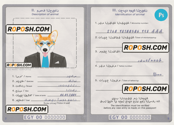 Egypt dog (animal, pet) passport PSD template, completely editable