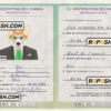 Eswatini (Swaziland) dog (animal, pet) passport PSD template, fully editable