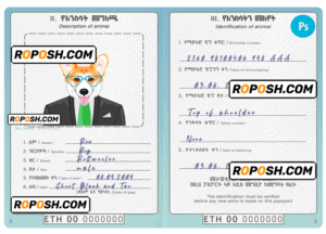 Ethiopia dog (animal, pet) passport PSD template, fully editable