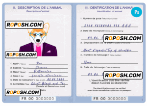 France dog (animal, pet) passport PSD template, completely editable