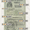 GUYANA stamp tourist visa PSD template
