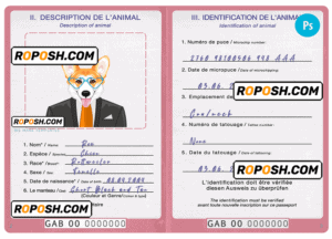 Gabon dog (animal, pet) passport PSD template, completely editable