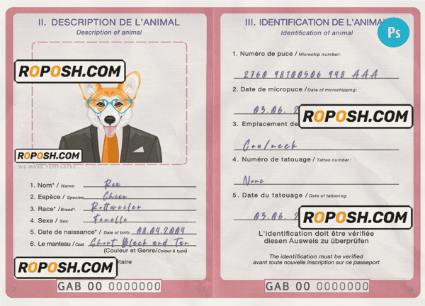 Gabon dog (animal, pet) passport PSD template, completely editable