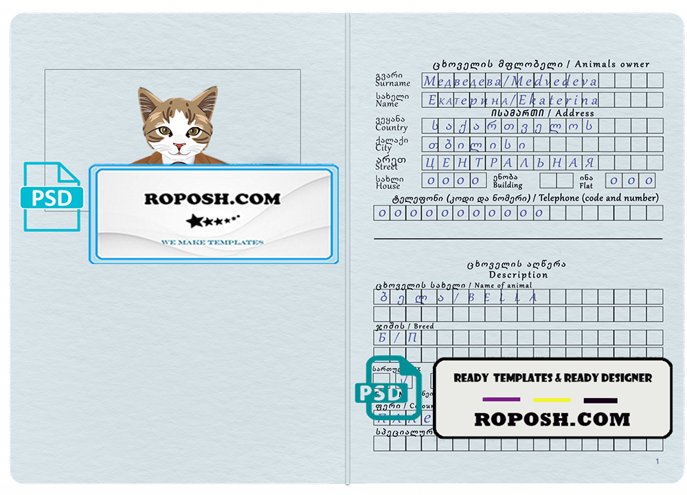Georgia cat (animal, pet) passport PSD template, fully editable