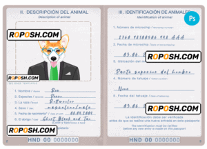 Honduras dog (animal, pet) passport PSD template, fully editable