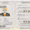 Iceland dog (animal, pet) passport PSD template, fully editable