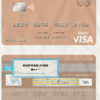 Iran Sepah bank visa card template in PSD format, fully editable