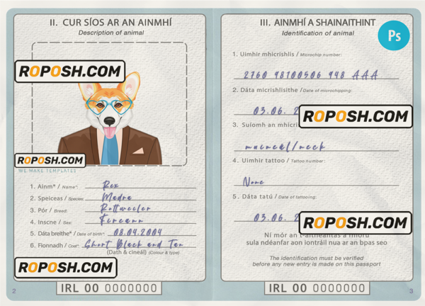 Ireland dog (animal, pet) passport template, fully editable scan effect