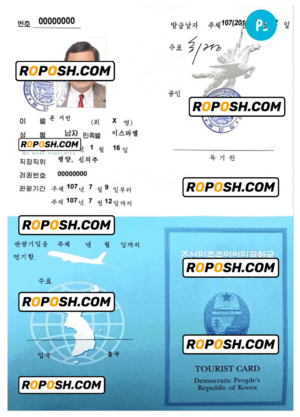 KOREA tourist visa PSD template, fully editable