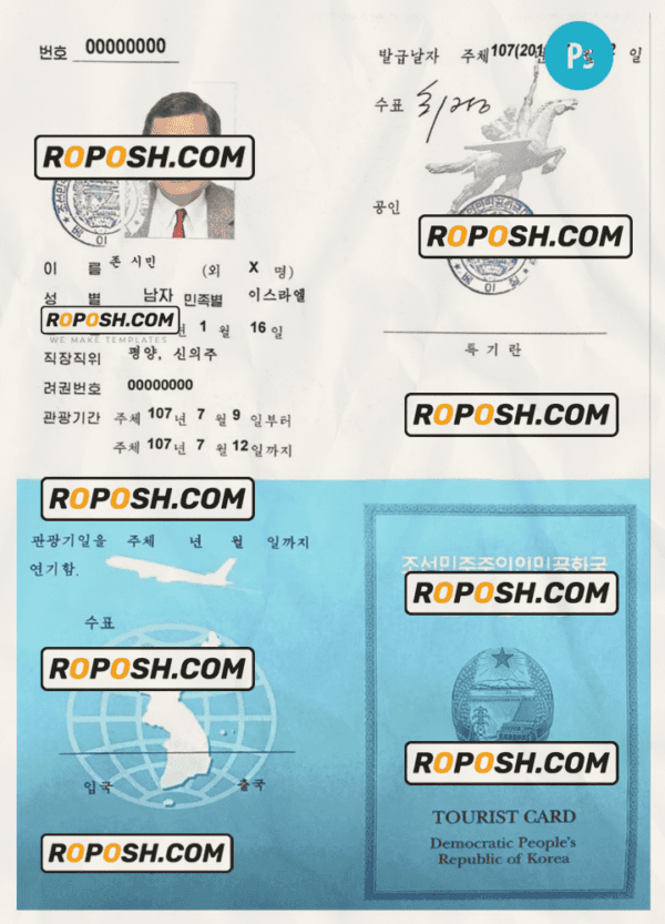KOREA tourist visa PSD template, fully editable