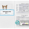 Kazakhstan cat (animal, pet) passport PSD template, fully editable